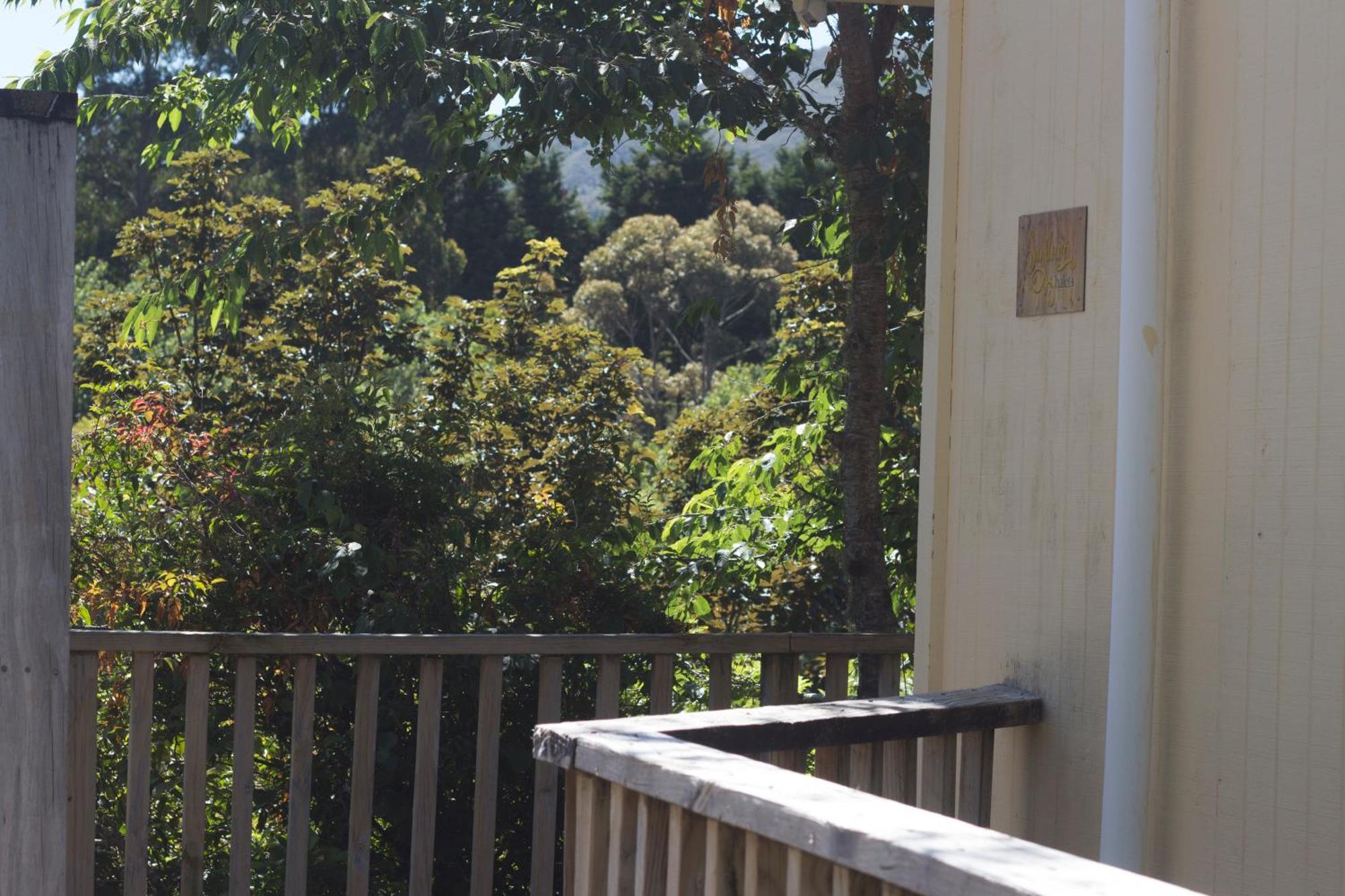 Aston Norwood Chalets Upper Hutt Exterior photo